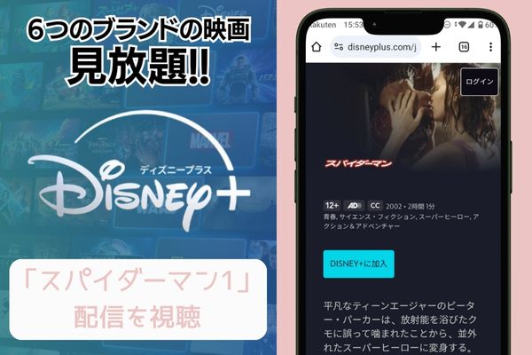 スパイダーマン1 disney 配信