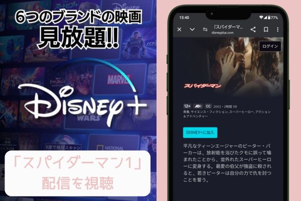 disney スパイダーマン1 配信