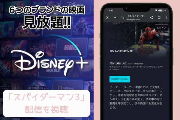 disney スパイダーマン3 配信