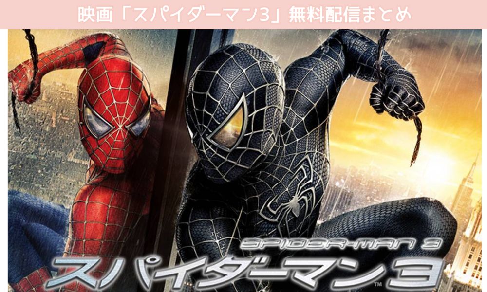 スパイダーマン3 配信