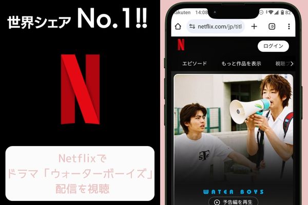 ウォーターボーイズ netflix