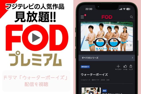 FOD ウォーターボーイズ 配信
