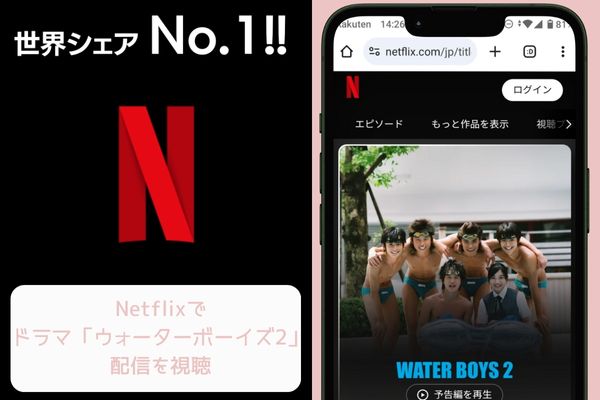 ウォーターボーイズ2 netflix