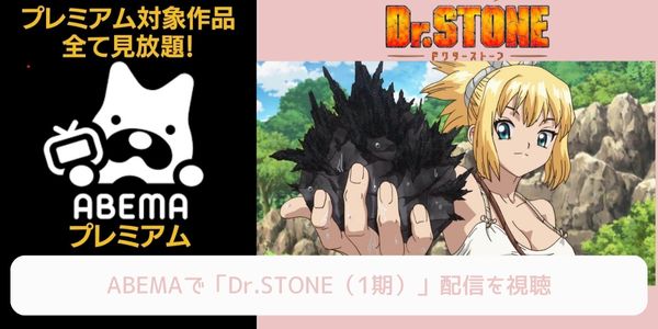 abema Dr.STONE（1期） 配信