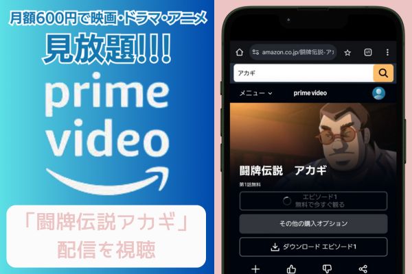 amazon 闘牌伝説アカギ 配信