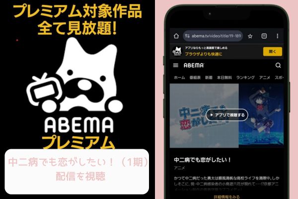 abema 中二病でも恋がしたい！（1期） 配信