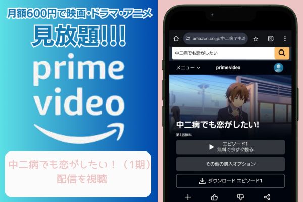 amazon 中二病でも恋がしたい！（1期） 配信