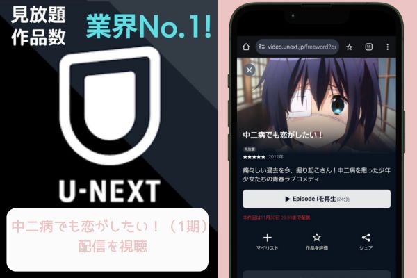 unext 中二病でも恋がしたい！（1期） 配信