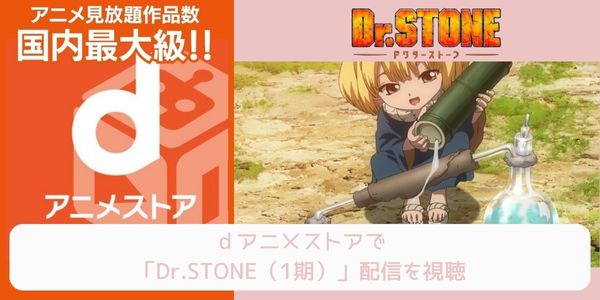 dアニメストア Dr.STONE（1期） 配信