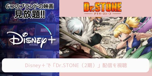 disney+ Dr.STONE（2期） 配信