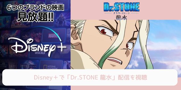 disney+ Dr.STONE 龍水 配信