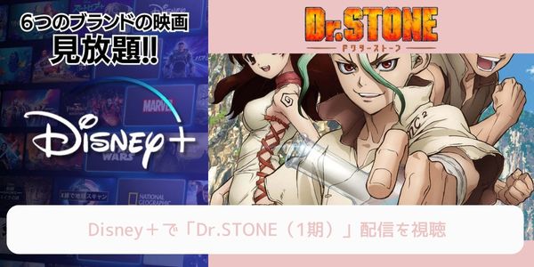 disney+ Dr.STONE（1期） 配信