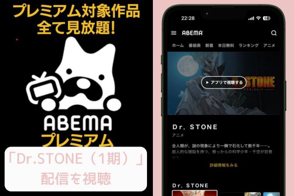 ABEMA Dr.STONE（1期） 配信

