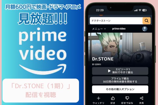 Amazon Dr.STONE（1期） 配信