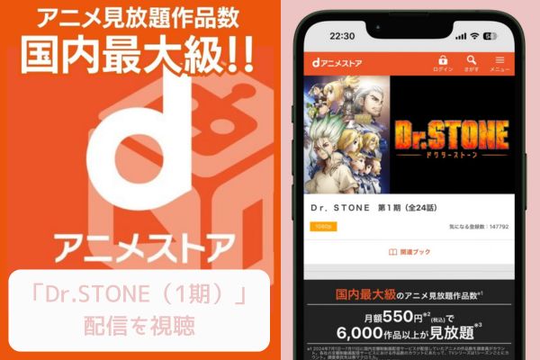 dアニメストア Dr.STONE（1期） 配信