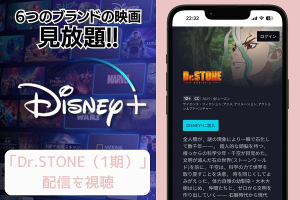 引用：Disney+ Dr.STONE（1期） 配信