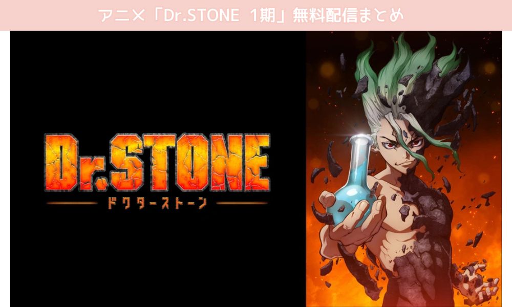 Dr.STONE 1期 配信