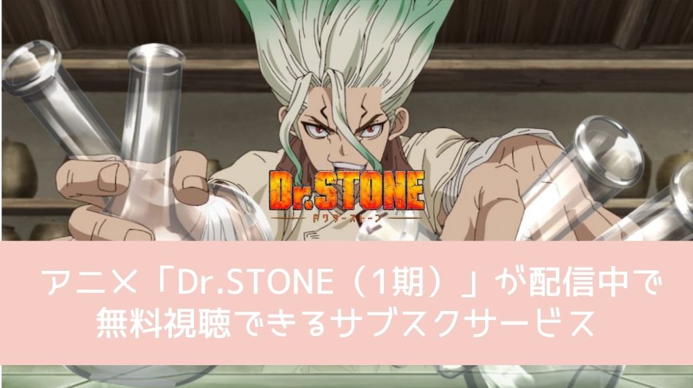 Dr.STONE（1期） 配信