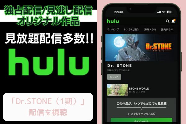 Hulu　Dr.STONE（1期） 配信
