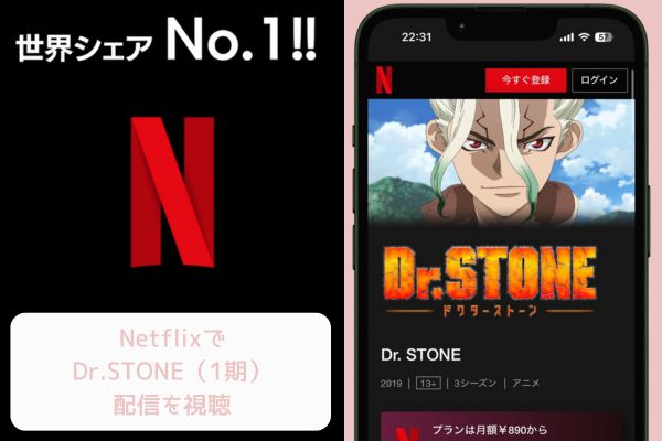 Netflix Dr.STONE（1期） 配信