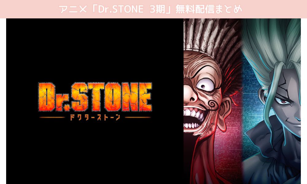 Dr.STONE3期 配信