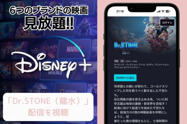 Disney+ Dr.STONE 龍水 配信
