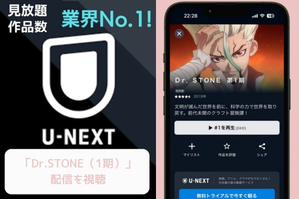 U-NEXT Dr.STONE（1期） 配信
