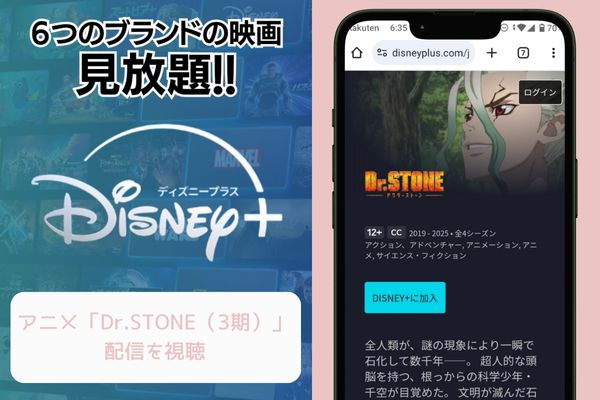 disney Dr.STONE NEW WORLD(第1クール)配信