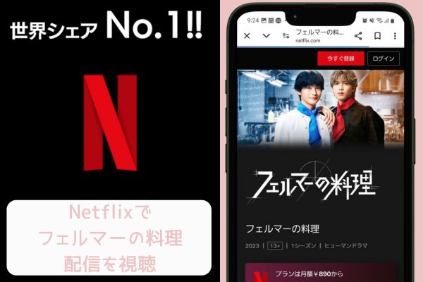 netflix フェルマーの料理  配信