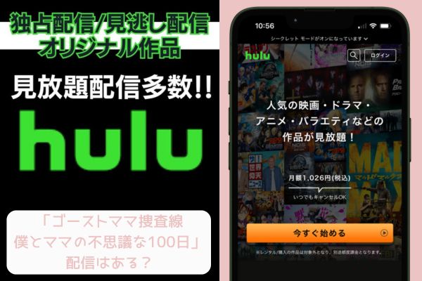 hulu ゴーストママ捜査線