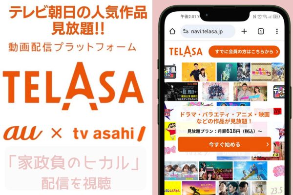 telasa 家政負のヒカル 配信