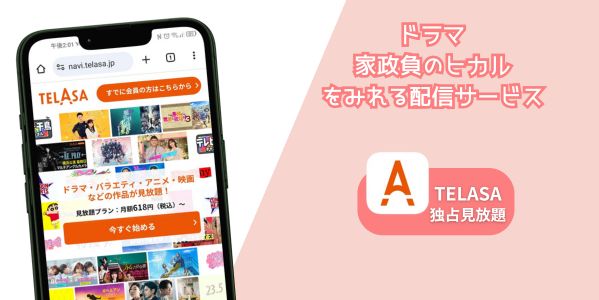 家政負のヒカル 配信