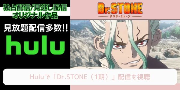 hulu Dr.STONE（1期） 配信