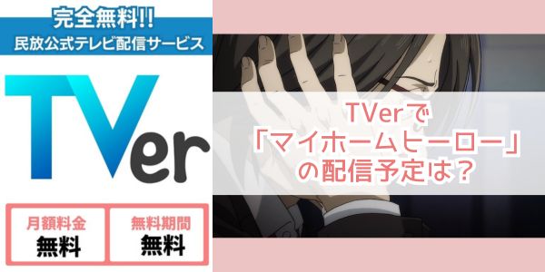 マイホームヒーロー tver