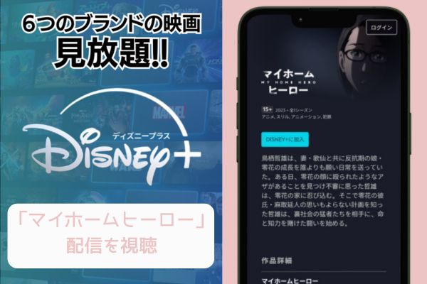 disney+ マイホームヒーロー 配信