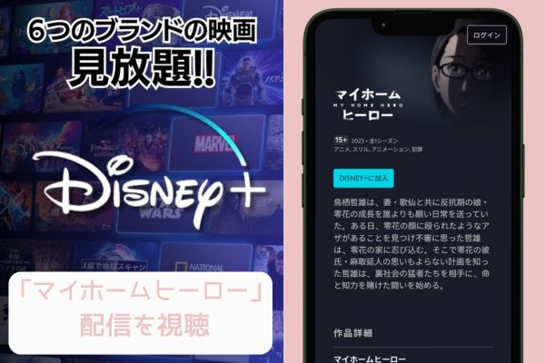 disney+ マイホームヒーロー 配信