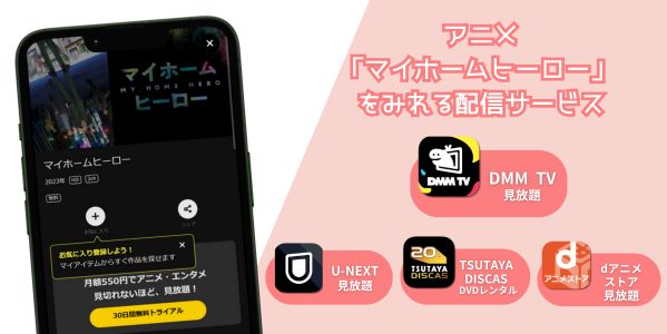 マイホームヒーロー 配信