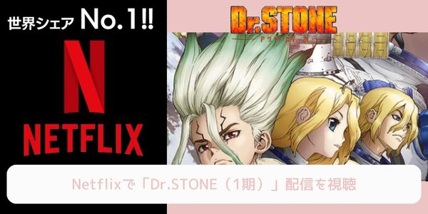 netflix Dr.STONE（1期） 配信