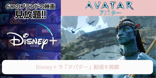 disney+ アバター 配信