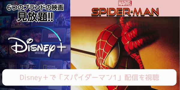 disney+ スパイダーマン1 配信