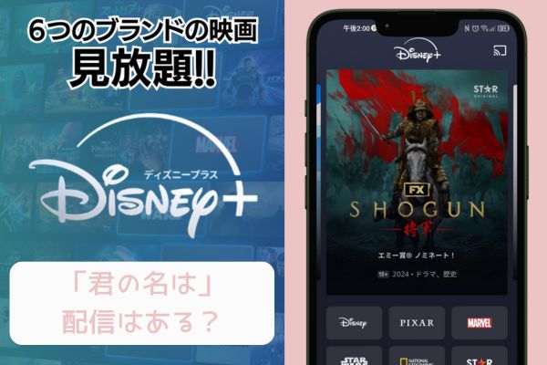 disney 君の名は