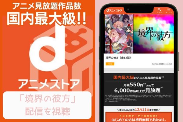 danime 境界線の行方 配信