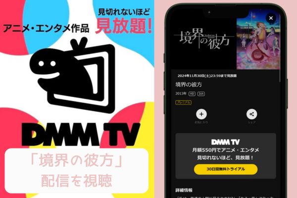 dmmtv 境界線の行方 配信