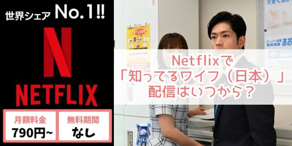 知ってるワイフ（日本） netflix