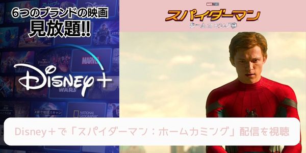 disney+ スパイダーマン：ホームカミング 配信