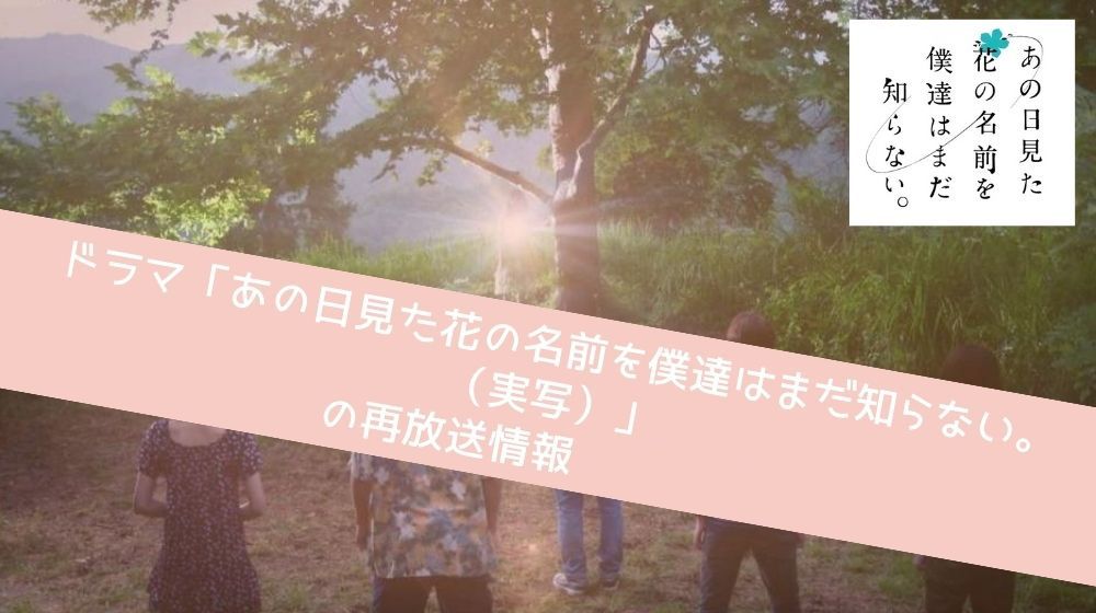 あの日見た花の名前を僕達はまだ知らない。（実写） 再放送