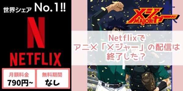 netflix メジャー 配信