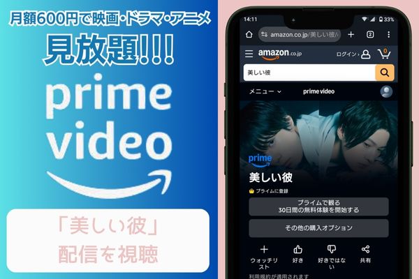 amazonプライム 美しい彼 配信