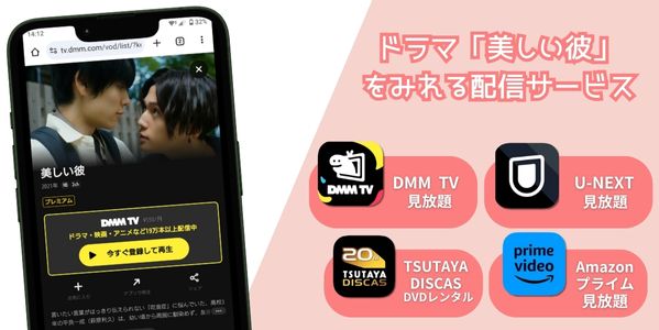 dmmtv 美しい彼 配信