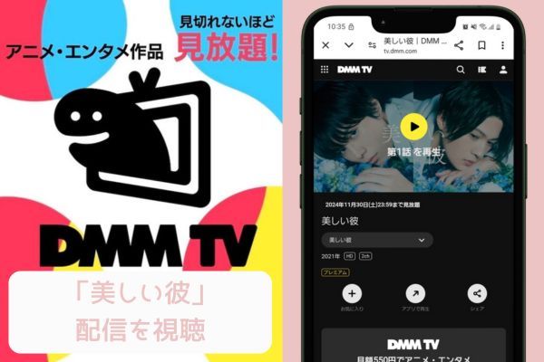 dmmtv 美しい彼 配信